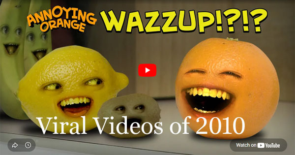 Viral Videos of 2010